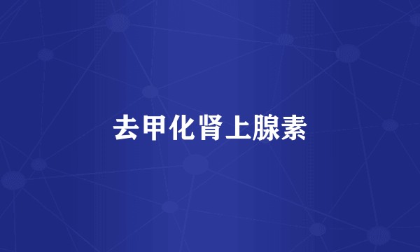 去甲化肾上腺素