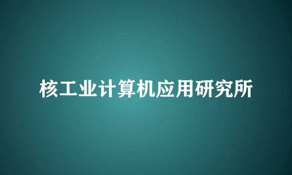 核工业计算机应用研究所