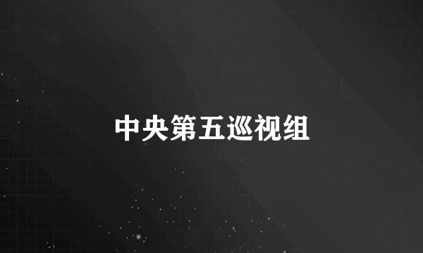 中央第五巡视组
