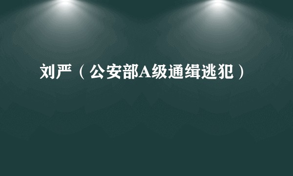 刘严（公安部A级通缉逃犯）