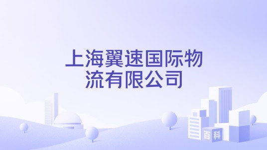 上海翼速国际物流有限公司