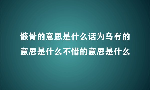 骸骨的意思是什么话为乌有的意思是什么不惜的意思是什么