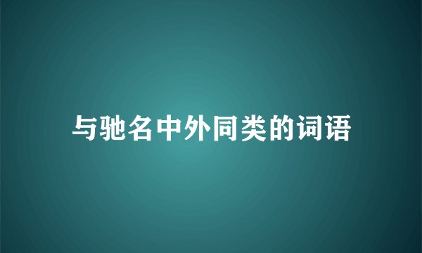 与驰名中外同类的词语