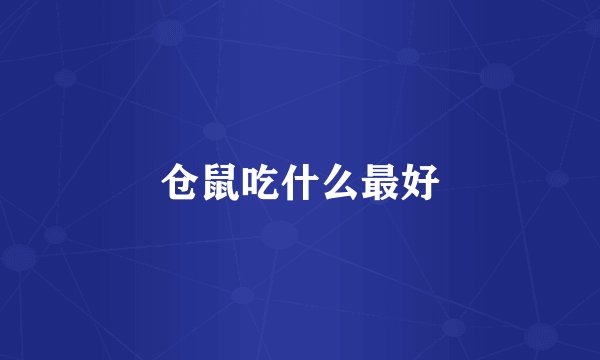 仓鼠吃什么最好