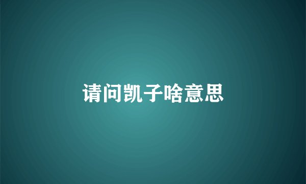请问凯子啥意思