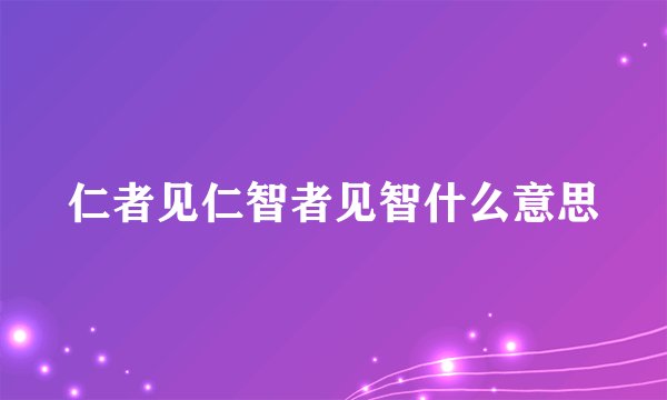 仁者见仁智者见智什么意思