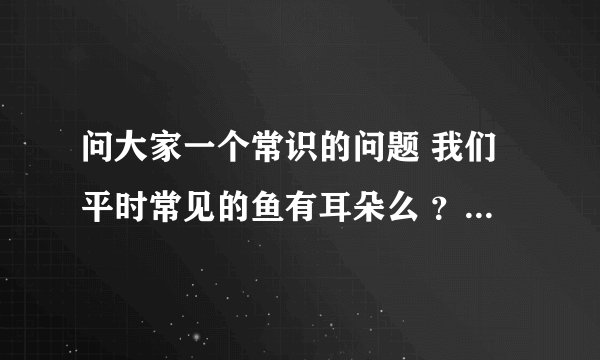 问大家一个常识的问题 我们平时常见的鱼有耳朵么 ？ 在什么位置啊