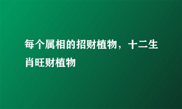 每个属相的招财植物，十二生肖旺财植物