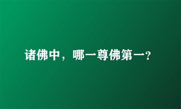 诸佛中，哪一尊佛第一？