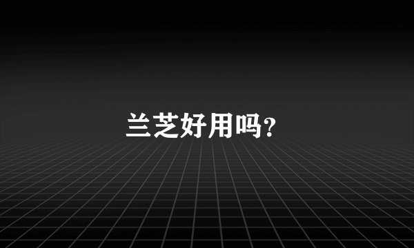 兰芝好用吗?