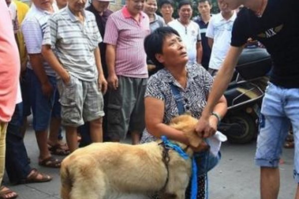 为什么现在很多人都讨厌起了爱狗人士呢？