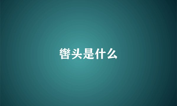 辔头是什么