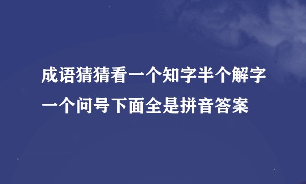 成语猜猜看一个知字半个解字一个问号下面全是拼音答案