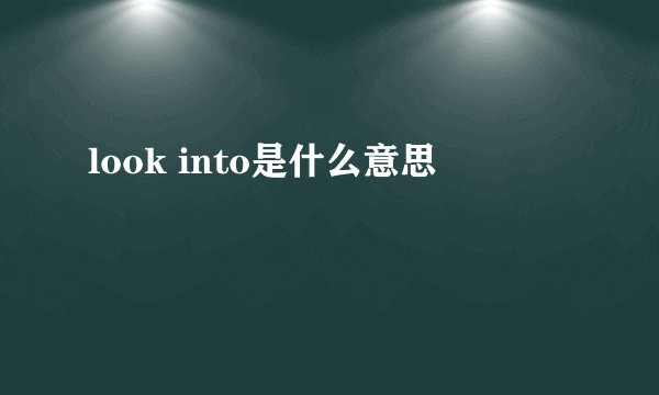 look into是什么意思