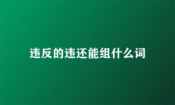 违反的违还能组什么词