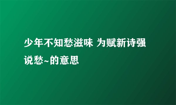 少年不知愁滋味 为赋新诗强说愁~的意思