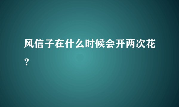 风信子在什么时候会开两次花？