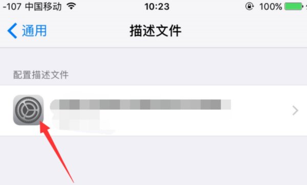 描述文件无法删除?