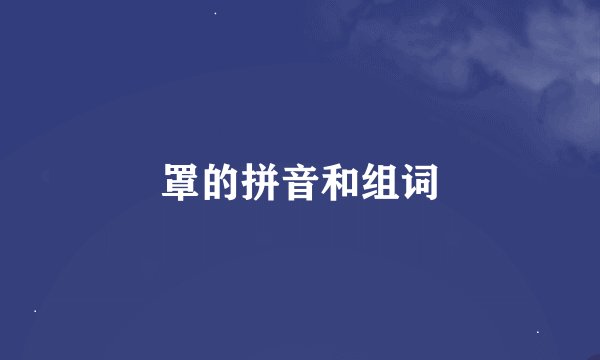 罩的拼音和组词