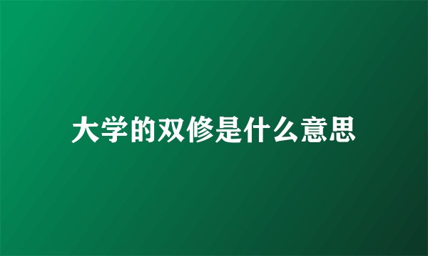 大学的双修是什么意思
