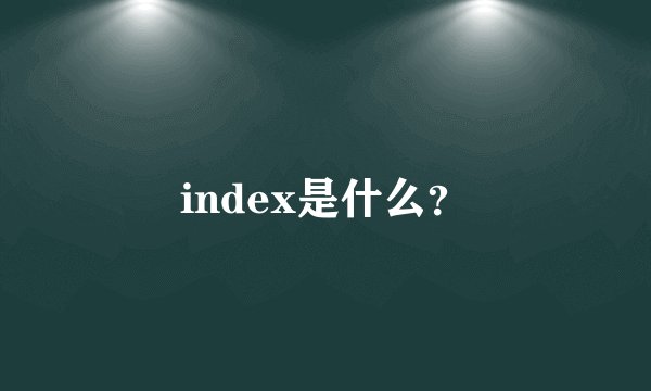 index是什么？