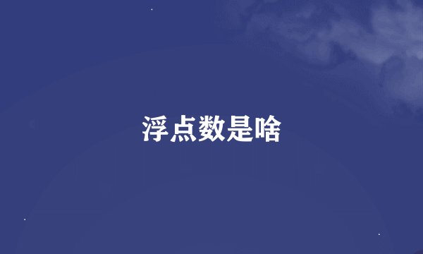 浮点数是啥