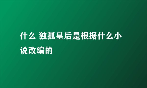 什么 独孤皇后是根据什么小说改编的