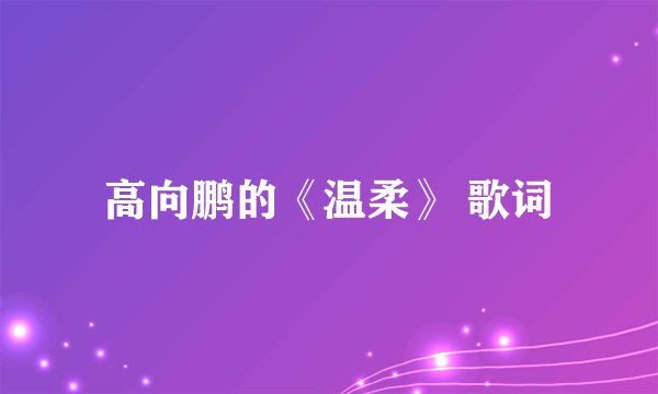 高向鹏的《温柔》 歌词