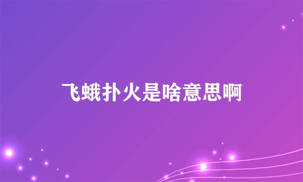 飞蛾扑火是啥意思啊
