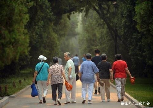老龄化标准是怎么样呢？
