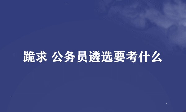 跪求 公务员遴选要考什么