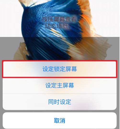 ipad怎么设置动态壁纸，就是抖音上的