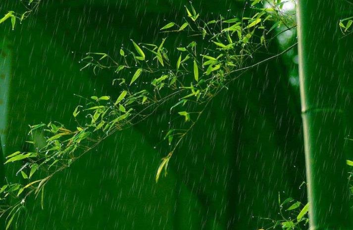 描写春雨的诗句有哪些？（请写上作者）