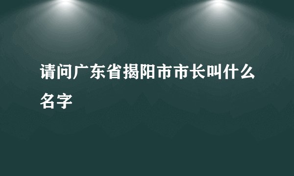 请问广东省揭阳市市长叫什么名字