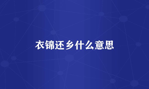 衣锦还乡什么意思