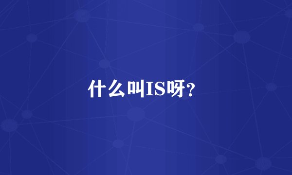 什么叫IS呀?