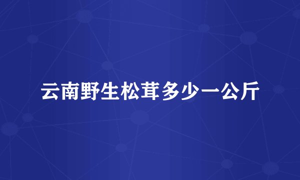 云南野生松茸多少一公斤