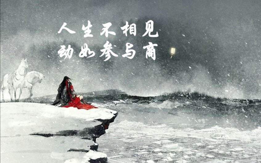 “人生不相见，动如参与商”是什么意思？????