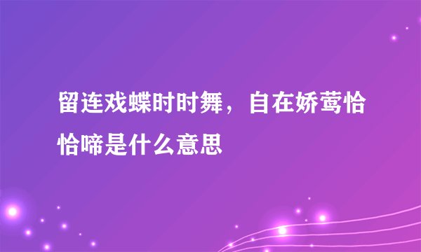 留连戏蝶时时舞，自在娇莺恰恰啼是什么意思