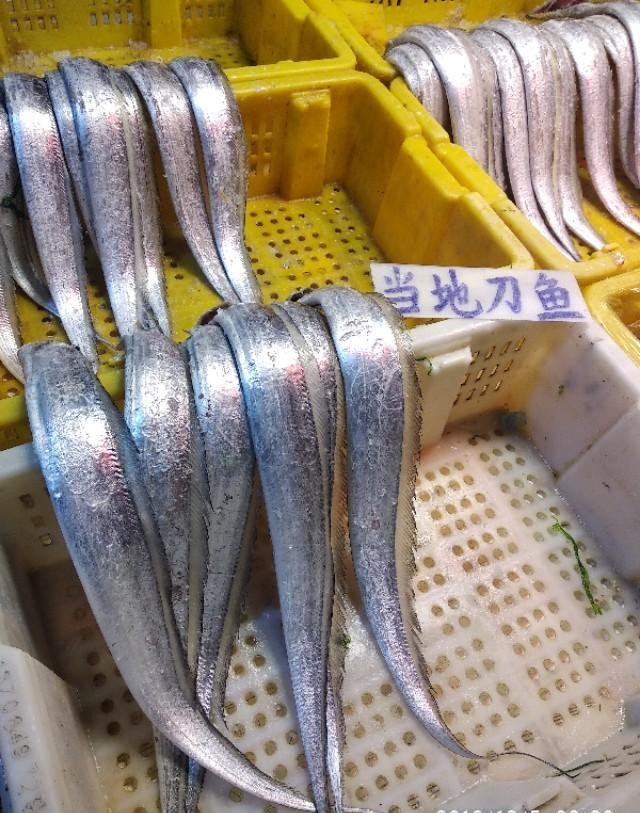 刀鱼和带鱼有何区别?