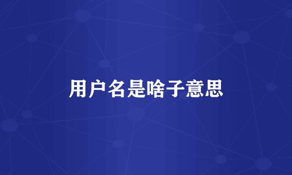 用户名是啥子意思