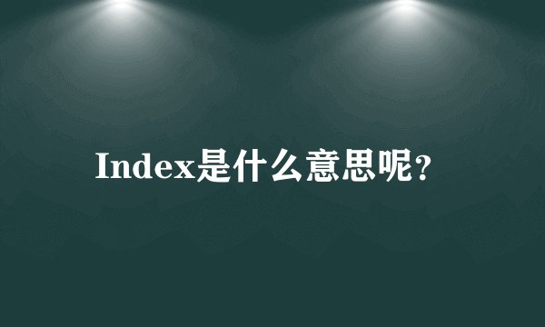 Index是什么意思呢？