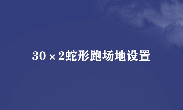 30×2蛇形跑场地设置