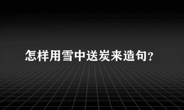怎样用雪中送炭来造句？