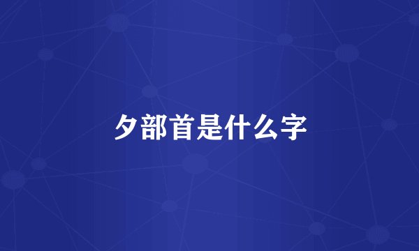 夕部首是什么字
