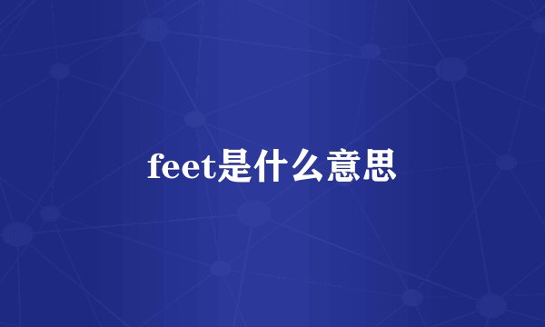 feet是什么意思