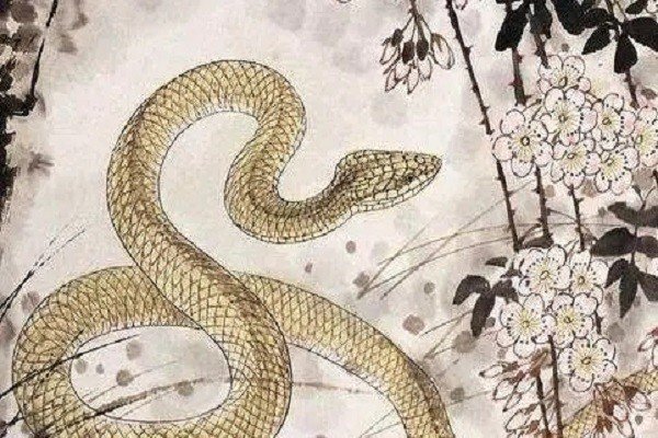 幼者听而弗问学不躐等也翻译