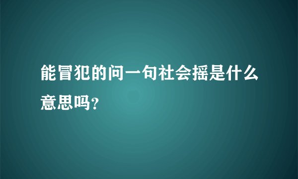 能冒犯的问一句社会摇是什么意思吗?