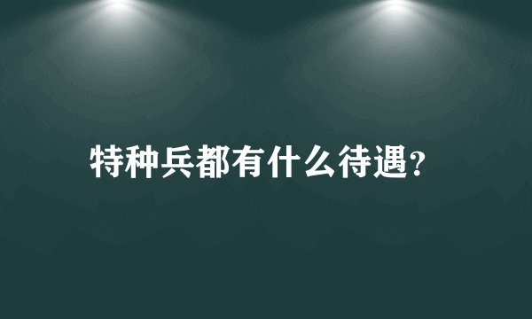 特种兵都有什么待遇？
