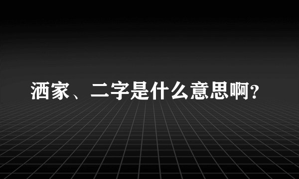 洒家、二字是什么意思啊？